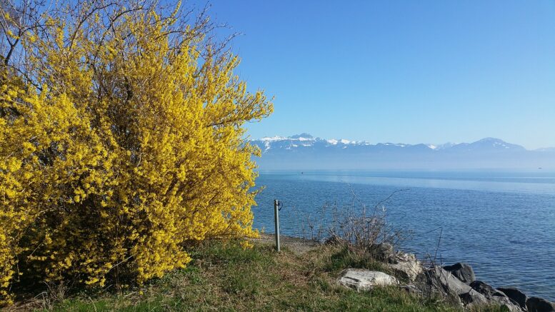 lac Léman